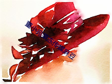 董小宛果冻传媒麻豆 （长眠）