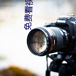 免费看视频 打眼）
