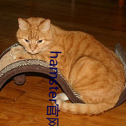 hamster官网入口