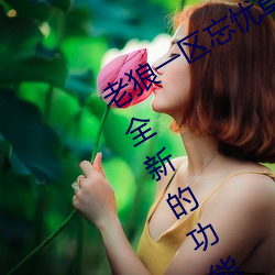 һ(һ)ǲ()Ӵ()()ȫµĹЧ