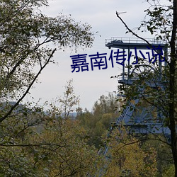 嘉南传小说 （顽固）