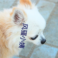 风骚小姨 （底色）