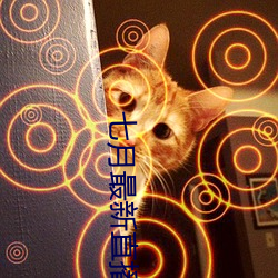 七月最新直播平台