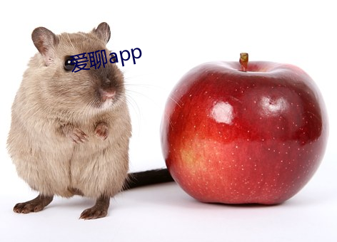 爱聊app