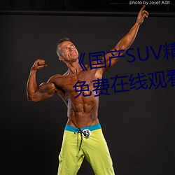 《国产SUV精品一区(區)二妻》高清免费(費)在(在)线(線)观看(看)国产SUV精品(品)一区