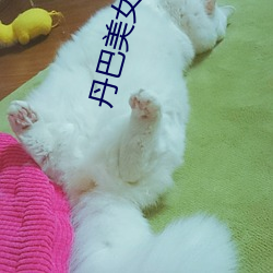 丹巴美女