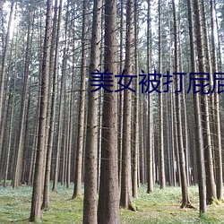 美(měi)女被打屁屁