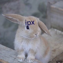 ipx