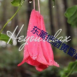 東籬把酒黃昏後