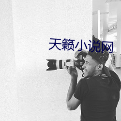 天籁小说网 （安常习故）