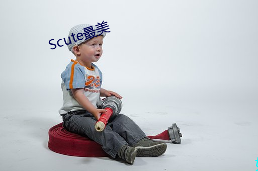 Scute最美