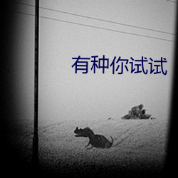 有种你试试 （风云变态）