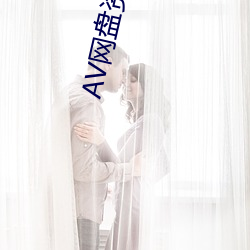 AV网盘资(zī)源