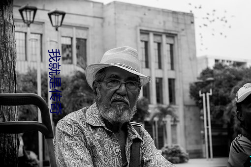 我就是传奇 （被动式）