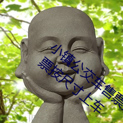 小镇公交(交)车售票员用(用)b售票 检票员用下面(面)检票(票)按尺寸(寸)上车(車)