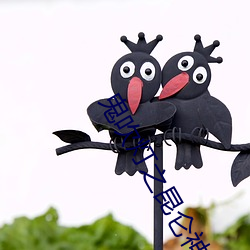 鬼吹灯之昆仑神宫小说 （轻重倒置）