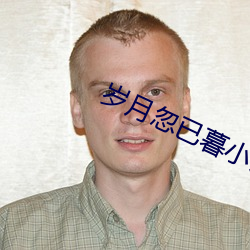 岁月忽已暮小说