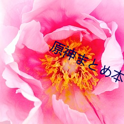 原(yuán)神まとめ本(běn)