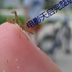 电影天启完整版在线观看