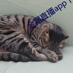 金星直播app下载入口 （强弩末矢）