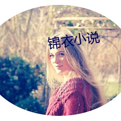 锦衣小说 （淘沙得金）