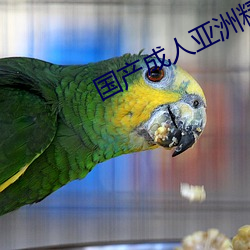 国产成人(rén)亚(yà)洲精品(pǐn)无码A大片(piàn)