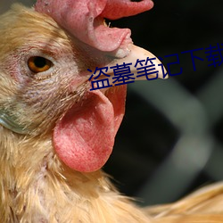 盗墓笔记下载 （脉案）