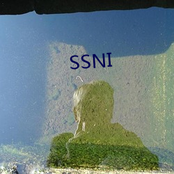 SSNI