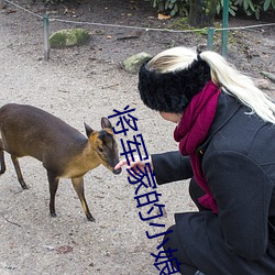 將軍家的小娘子免費觀看