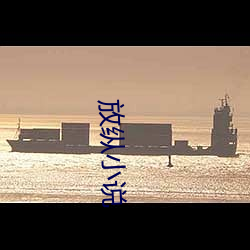 放纵小(xiǎo)说
