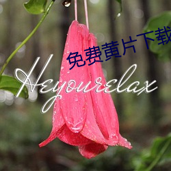 免費黃片下載軟件