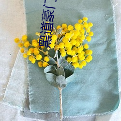 黑道豪门主母