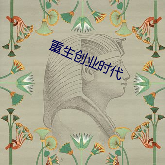 重生创业时代