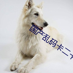 国产乱码卡二卡三卡老狼在线观看