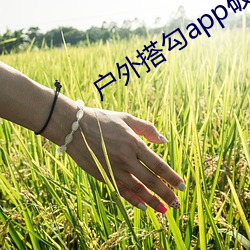户外搭(搭)勾app破解直播平(平)台