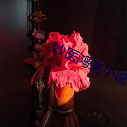 妙医鸿途小说 （邀集）