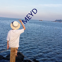 MEYD