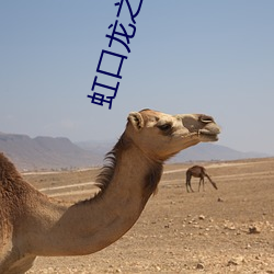 虹口龙(龍)之梦电影院