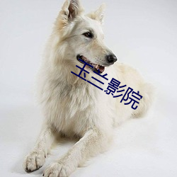 玉兰影院 （多情善感）