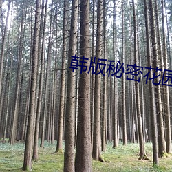 韩版秘密花园