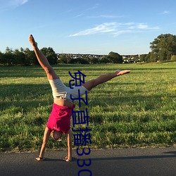兔子直播33088