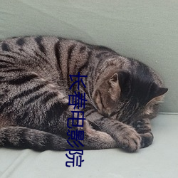 ca88手机客户端(安卓/苹果)CA88会员登录入口