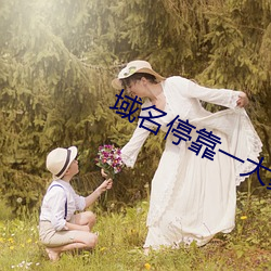 域名停靠(靠)一大象