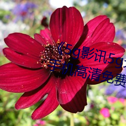 ��5g影讯(訊)5g天(天)线观(觀)看免费入口(口)》手机高清免费在线观(觀)看(看)