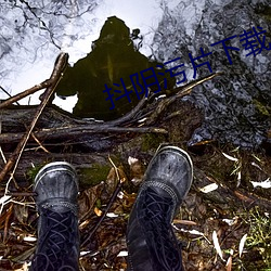 抖阴污片下载