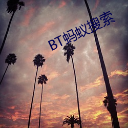 BT蚂(螞)蚁搜索