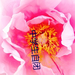 中学生自闭(閉)
