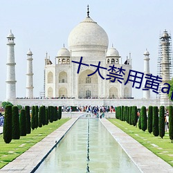 十大禁用黃app軟件排行