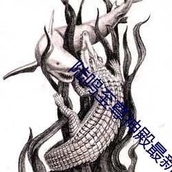 ca88手机客户端(安卓/苹果)CA88会员登录入口