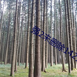 强2未删除142分钟日本